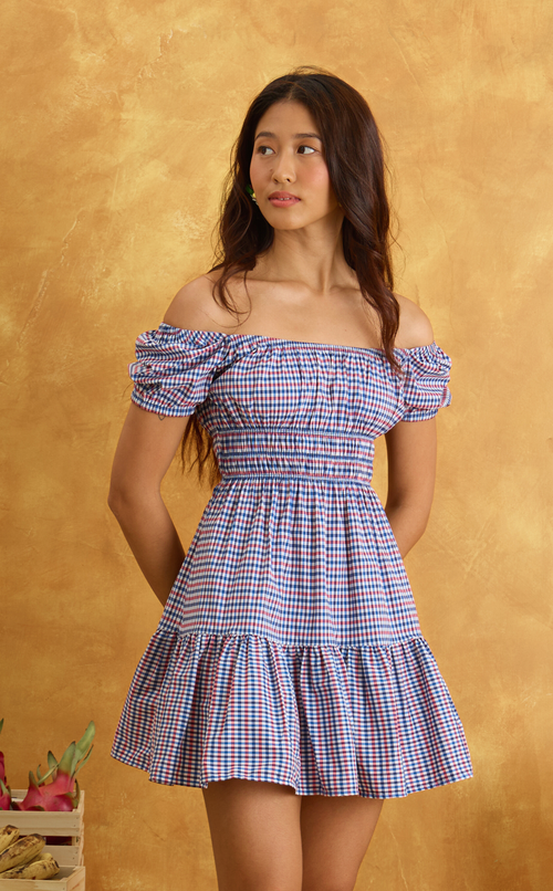 PENELOPE MINI DRESS - RED BLUE MICRO PLAID