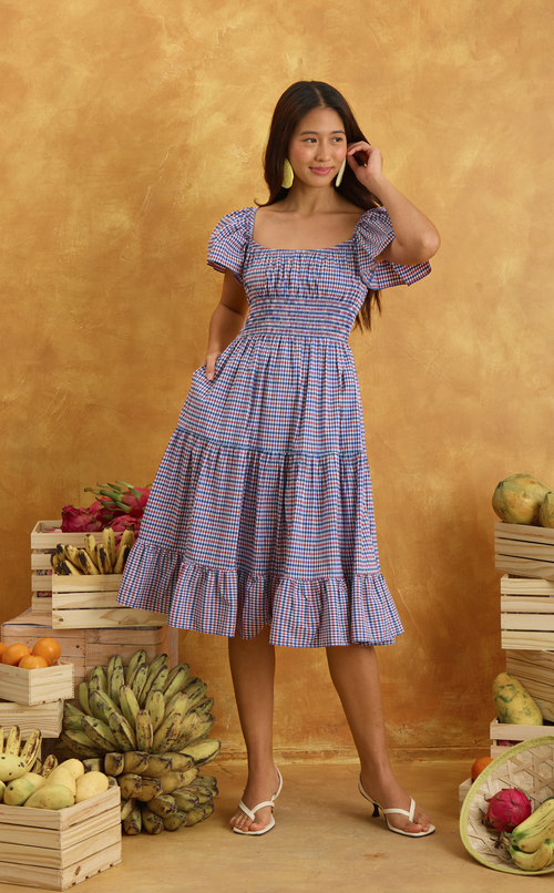 ODESSA MIDI DRESS - RED BLUE MICRO PLAID Shop.TayoStudio