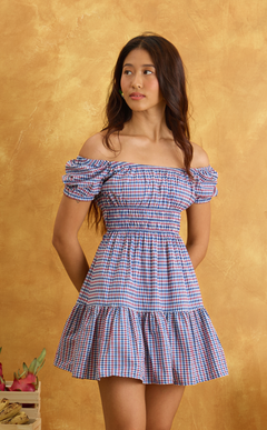 PENELOPE MINI DRESS - RED BLUE MICRO PLAID